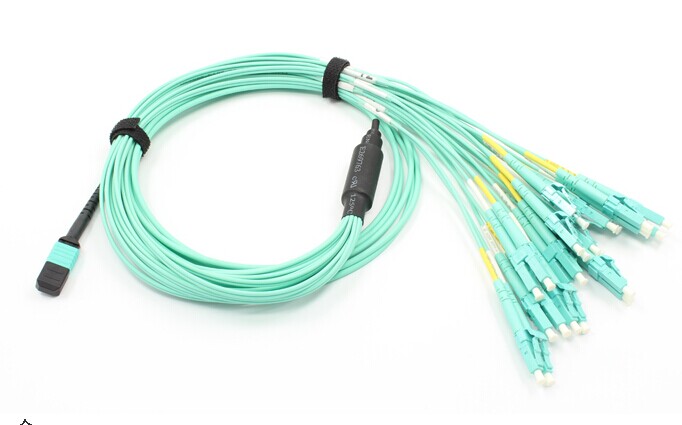 MPO Fanout Patchcord